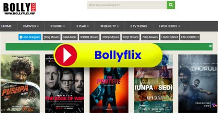 Discovering Bollyflix: Your Guide to Indian Cinema Online Today