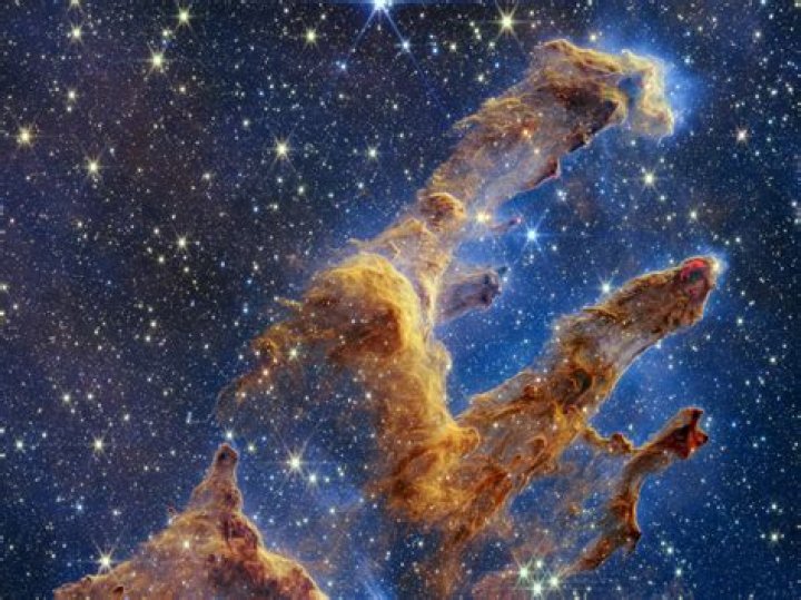 Exploring Sotwe Turk: Finding Your Digital Space After Nitter