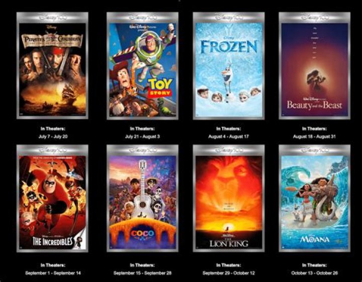 Filmyfly 2024: Your Guide to the Latest in Cinema This Year