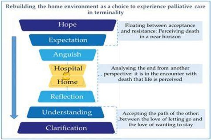 Understanding the John Force Daughter Illness: A Look at Family Health Journeys