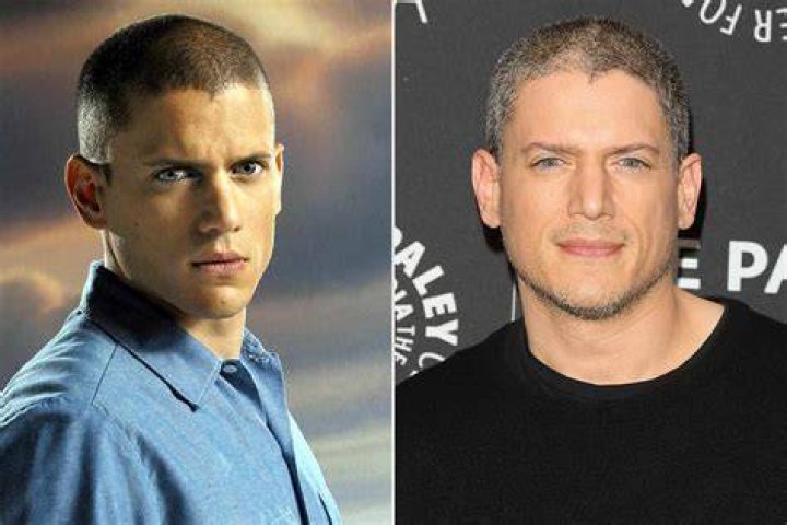 Wentworth Miller: A Look at the Actor Behind Iconic Roles